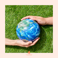 vuurkind coach opleiding certificaat